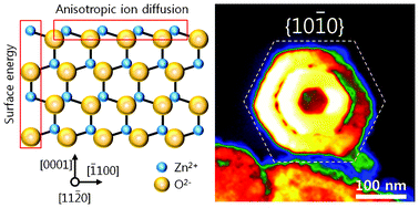 Graphical abstract: Effects of a low-temperature sulfidation process on the microstructural properties of ZnO nanowires: ZnS formation and nanoscale Kirkendall effect