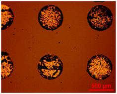 Graphical abstract: Concomitant cocrystallization on engineered surfaces