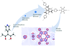 Graphical abstract: 3-(4-Pyridyl)-2,4-pentanedione – a bridge between coordinative, halogen, and hydrogen bonds