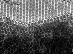 Graphical abstract: Characterization of charge transport properties of a 3D electrode for dye-sensitized solar cells