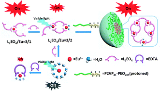 Graphical abstract: The advantage of reversible coordination polymers in producing visible light sensitized Eu(iii) emissions over EDTA via excluding water from the coordination sphere