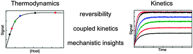 Graphical abstract: Supramolecular dynamics