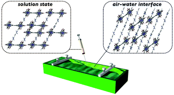 Graphical abstract: Cross-linked conjugated polymer assemblies at the air–water interface through supramoleculer bundling