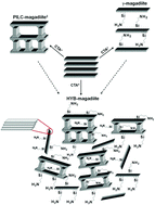 Graphical abstract: Functionalized mesoporous solids based on magadiite and [Al]-magadiite