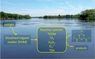 Graphical abstract: The role of indirect photochemical degradation in the environmental fate of pesticides: a review