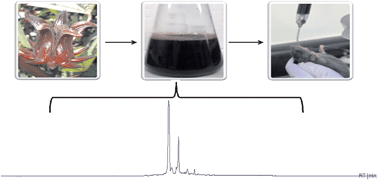 Graphical abstract: Hibiscus sabdariffa L. aqueous extract attenuates hepatic steatosis through down-regulation of PPAR-γ and SREBP-1c in diet-induced obese mice