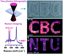 Graphical abstract: Encoding molecular information in plasmonic nanostructures for anti-counterfeiting applications