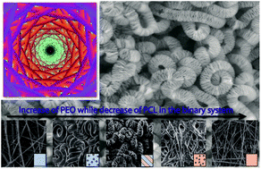 Graphical abstract: Ultraporous interweaving electrospun microfibers from PCL–PEO binary blends and their inflammatory responses