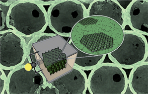 Graphical abstract: Graphene-embedded 3D TiO2 inverse opal electrodes for highly efficient dye-sensitized solar cells: morphological characteristics and photocurrent enhancement