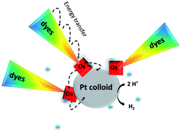 Graphical abstract: Light-harvesting of polymerizable 4-hydroxy-1,3-thiazole monomers by energy transfer toward photoactive Os(ii) metal complexes in linear polymers