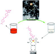 Graphical abstract: Adsorption studies of methyl orange on an immobilized Mn-nanoparticle: kinetic and thermodynamic