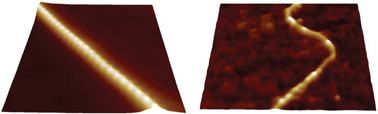 Graphical abstract: DNA-intercalator interactions: structural and physical analysis using atomic force microscopy in solution