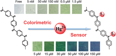 Graphical abstract: Optimized colorimetric sensor strip for mercury(ii) assay using hierarchical nanostructured conjugated polymers