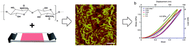 Graphical abstract: Mechanical properties of self-assembled chitin nanofiber networks