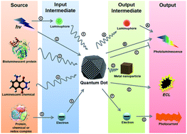 Graphical abstract: Quantum dots in diagnostics and detection: principles and paradigms