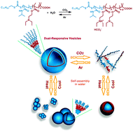 Graphical abstract: A CO2- and temperature-switchable “schizophrenic” block copolymer: from vesicles to micelles