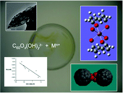 Graphical abstract: Understanding the relative binding ability of hydroxyfullerene to divalent and trivalent metals