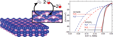 Graphical abstract: Nanocrystalline Ni5P4: a hydrogen evolution electrocatalyst of exceptional efficiency in both alkaline and acidic media