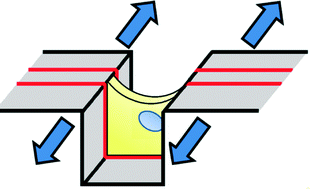 Graphical abstract: Defined topologically-complex protein matrices to manipulate cell shape via three-dimensional fiber-like patterns