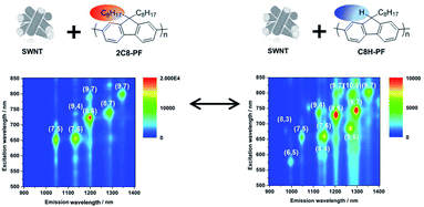 Graphical abstract: Effects of the chemical structure of polyfluorene on selective extraction of semiconducting single-walled carbon nanotubes