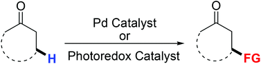 Graphical abstract: Transition-metal-catalyzed direct β-functionalization of simple carbonyl compounds