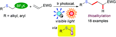 Graphical abstract: Alkyl- and aryl-thioalkylation of olefins with organotrifluoroborates by photoredox catalysis