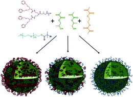 Graphical abstract: Hyperbranched polydendrons: a new nanomaterials platform with tuneable permeation through model gut epithelium