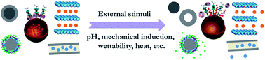 Graphical abstract: Advanced micro/nanocapsules for self-healing smart anticorrosion coatings