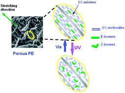 Graphical abstract: Photochromic LC–polymer composites containing azobenzene chromophores with thermally stable Z-isomers