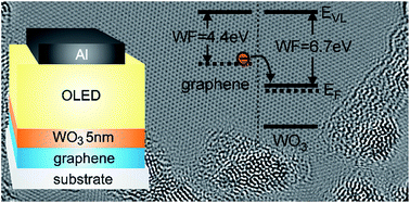 Graphical abstract: Organic light emitting diodes with environmentally and thermally stable doped graphene electrodes