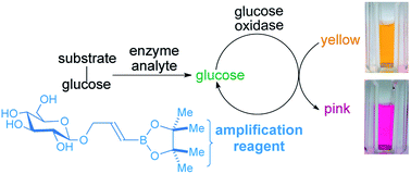 Graphical abstract: A strategy for minimizing background signal in autoinductive signal amplification reactions for point-of-need assays