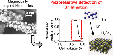 Graphical abstract: A magnetically tuneable piezoresistive sensor for direct, in situ strain measurements in Li-ion batteries