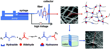 Graphical abstract: Reactive electrospinning of degradable poly(oligoethylene glycol methacrylate)-based nanofibrous hydrogel networks