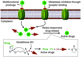 Graphical abstract: Rational design of multifunctional small-molecule prodrugs for simultaneous suppression of cancer cell growth and metastasis in vitro and in vivo