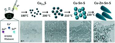 Graphical abstract: Complete study of the composition and shape evolution in the synthesis of Cu2ZnSnS4 (CZTS) semiconductor nanocrystals
