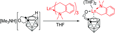 Graphical abstract: Synthesis, structure and reactivity of rare-earth metallacarborane alkyls [η1:η5-O(CH2)2C2B9H9]Ln(σ:η1-CH2C6H4-o-NMe2)(THF)2
