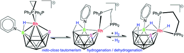 Graphical abstract: [1,1-(η2-dppe)-3-(NC5H5)-closo-1,2-RhSB9H8]: conformational lability and reactivity with H2 upon protonation