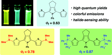 Graphical abstract: Effects of boryl, phosphino, and phosphonio substituents on optical, electrochemical, and photophysical properties of 2,5-dithienylphospholes and 2-phenyl-5-thienylphospholes