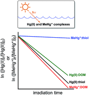 Graphical abstract: Photoreduction of Hg(ii) and photodemethylation of methylmercury: the key role of thiol sites on dissolved organic matter