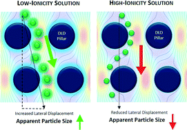 Graphical abstract: Real-time modulated nanoparticle separation with an ultra-large dynamic range