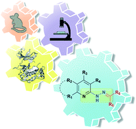 Graphical abstract: A multicomponent pharmacophore fragment-decoration approach to identify selective LRRK2-targeting probes