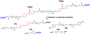 Graphical abstract: Green chain-shattering polymers based on a self-immolative azobenzene motif