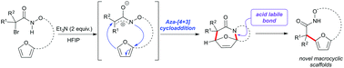 Graphical abstract: Access to bicyclic hydroxamate macrocycles via intramolecular aza-(4 + 3) cyloaddition reactions of aza-oxyallylic cation intermediates