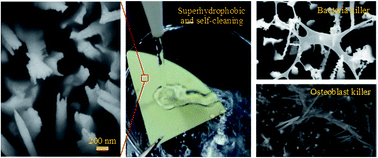 Graphical abstract: Engineering a nanostructured “super surface” with superhydrophobic and superkilling properties