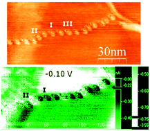 Graphical abstract: Bead-like structures and self-assembled monolayers from 2,6-dipyrazolylpyridines and their iron(ii) complexes