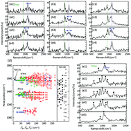 Graphical abstract: Recent topics on single-molecule fluctuation analysis using blinking in surface-enhanced resonance Raman scattering: clarification by the electromagnetic mechanism