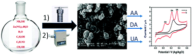 Graphical abstract: Surfactant-free synthesis of three-dimensional nitrogen-doped hierarchically porous carbon and its application as an electrode modification material for simultaneous sensing of ascorbic acid, dopamine and uric acid