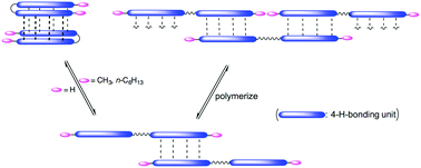 Graphical abstract: Surprising impact of remote groups on the folding–unfolding and dimer-chain equilibria of bifunctional H-bonding unimers