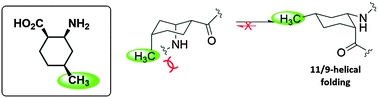 Graphical abstract: Stabilization of 11/9-helical α/β-peptide foldamers in protic solvents