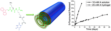 Graphical abstract: Self-assembly of a 5-fluorouracil-dipeptide hydrogel